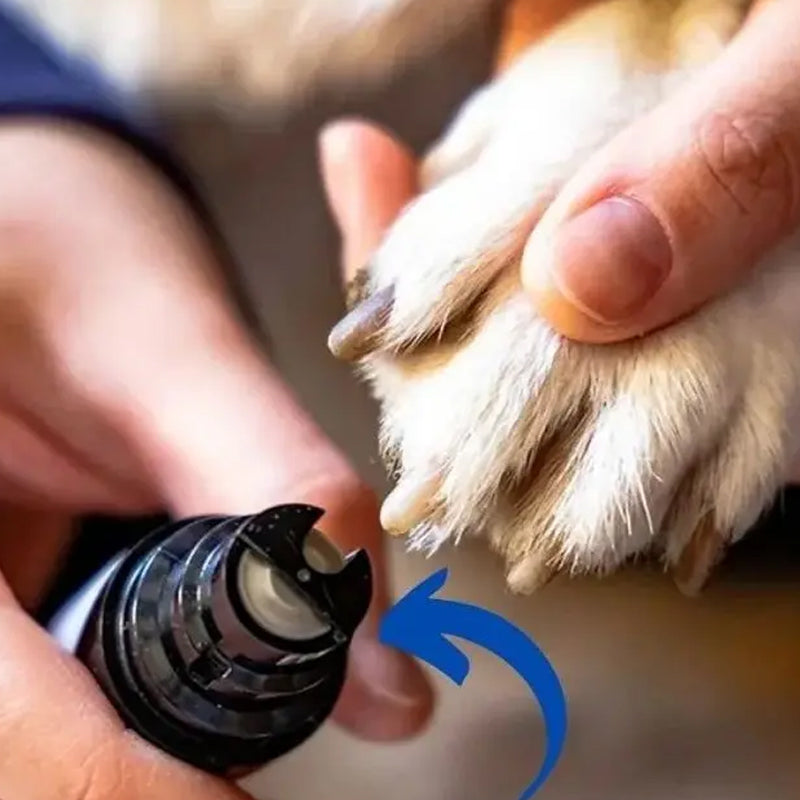 Cane sereno con GentleTrim